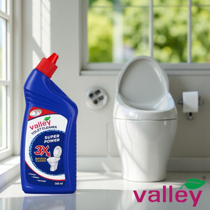 Valley Toilet Cleaner 500ml
